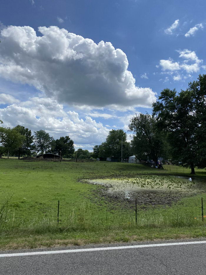 Afton - July Photo Of Afton (newer photo)